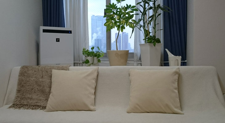 カウンセリング医療機関・セラピイ青山クリニック｜　2